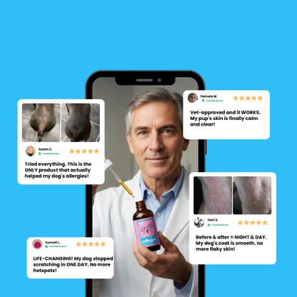 Vet-Recommended Itch Relief Drops