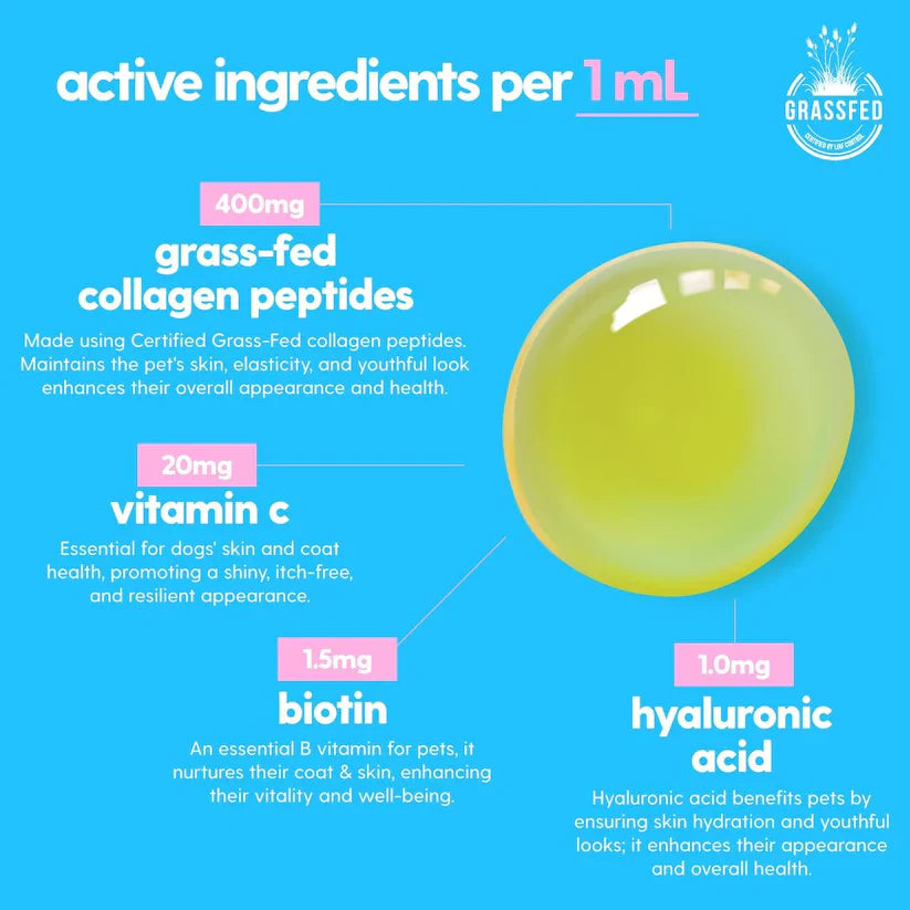 Vet-Recommended Itch Relief Drops