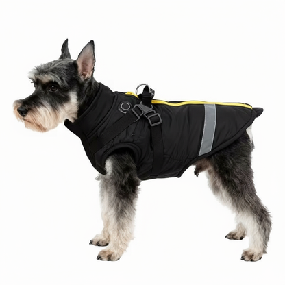Protect Your Dog from Hypothermia, Achy Joints, and Winter Blues With Charlie’s Dog Heated Vest