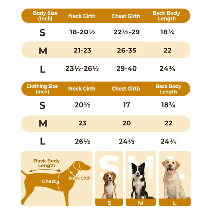 Protect Your Dog from Hypothermia, Achy Joints, and Winter Blues With Charlie’s Dog Heated Vest