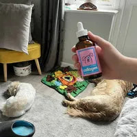 Jennifer L.'s review